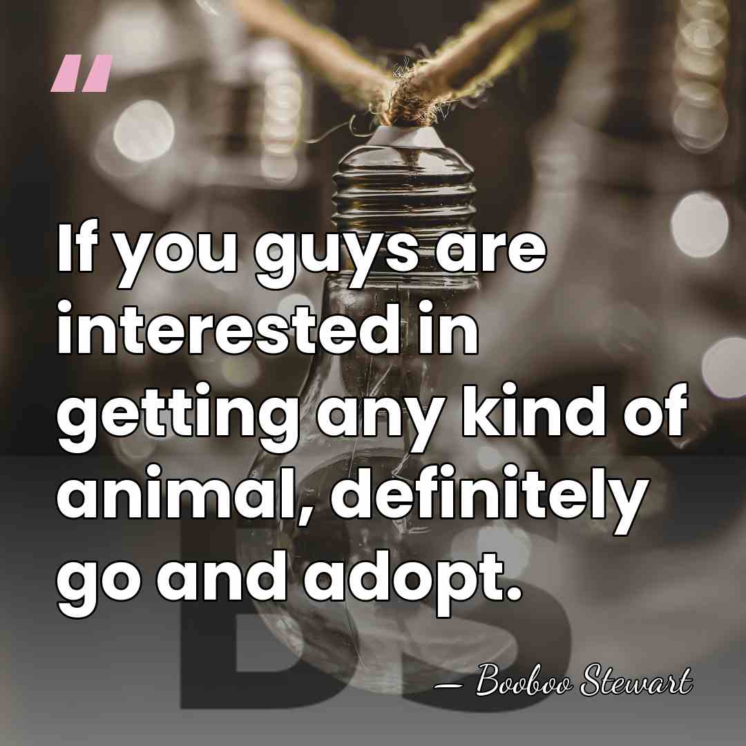 If you guys are interested in getting any kind of animal, definitely&hellip; - Booboo Stewart
