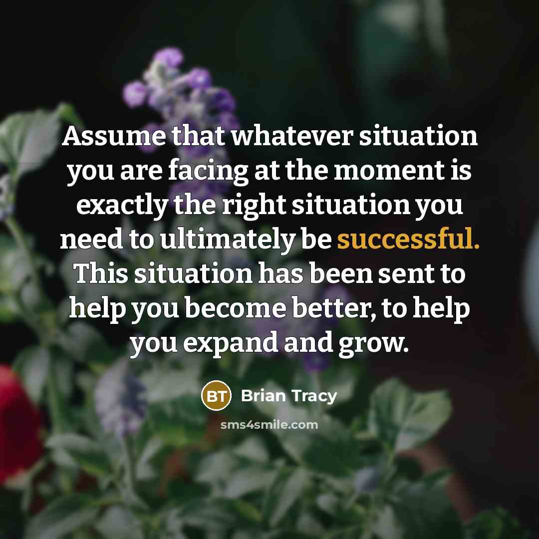 “Assume that whatever situation you are facing at the moment…” quote by Brian Tracy