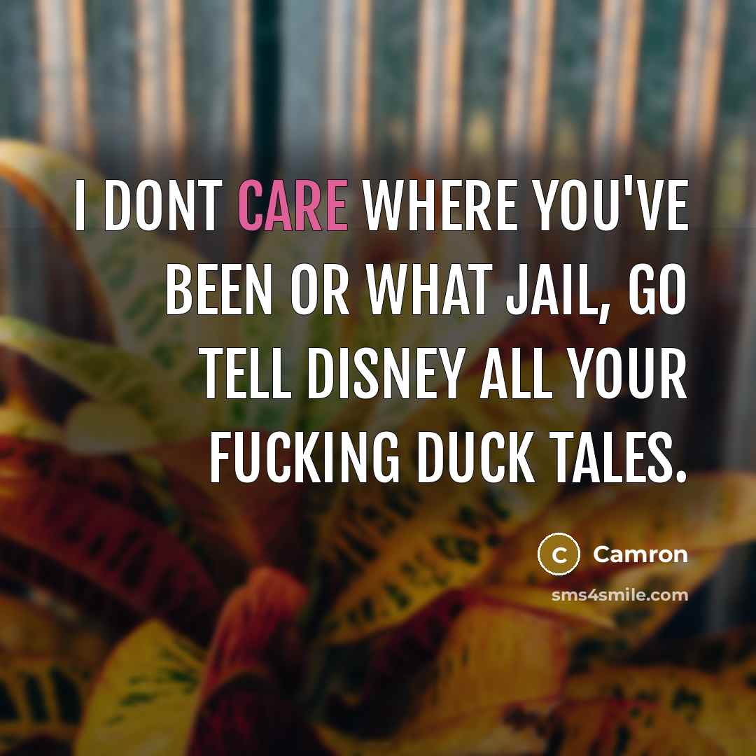 “I dont care where you've been or what jail, go…” quote by Camron
