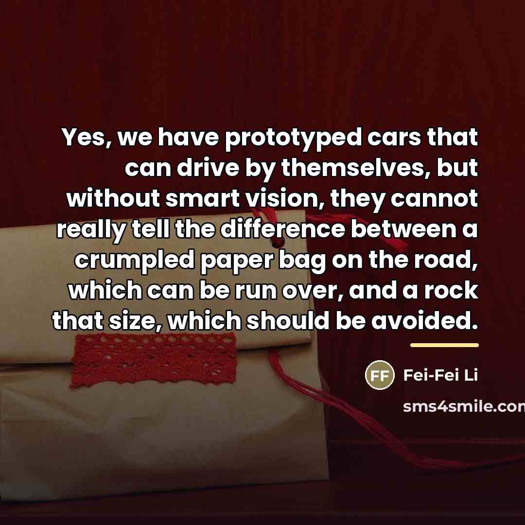 “Yes, we have prototyped cars that can drive by themselves,…” quote by Fei-Fei Li