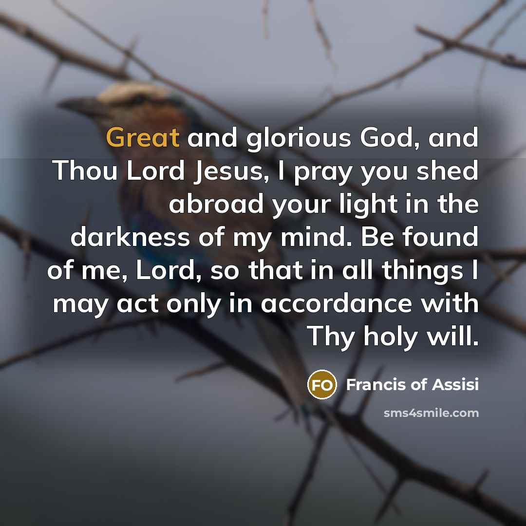 “Great and glorious God, and Thou Lord Jesus, I pray…” quote by Francis of Assisi