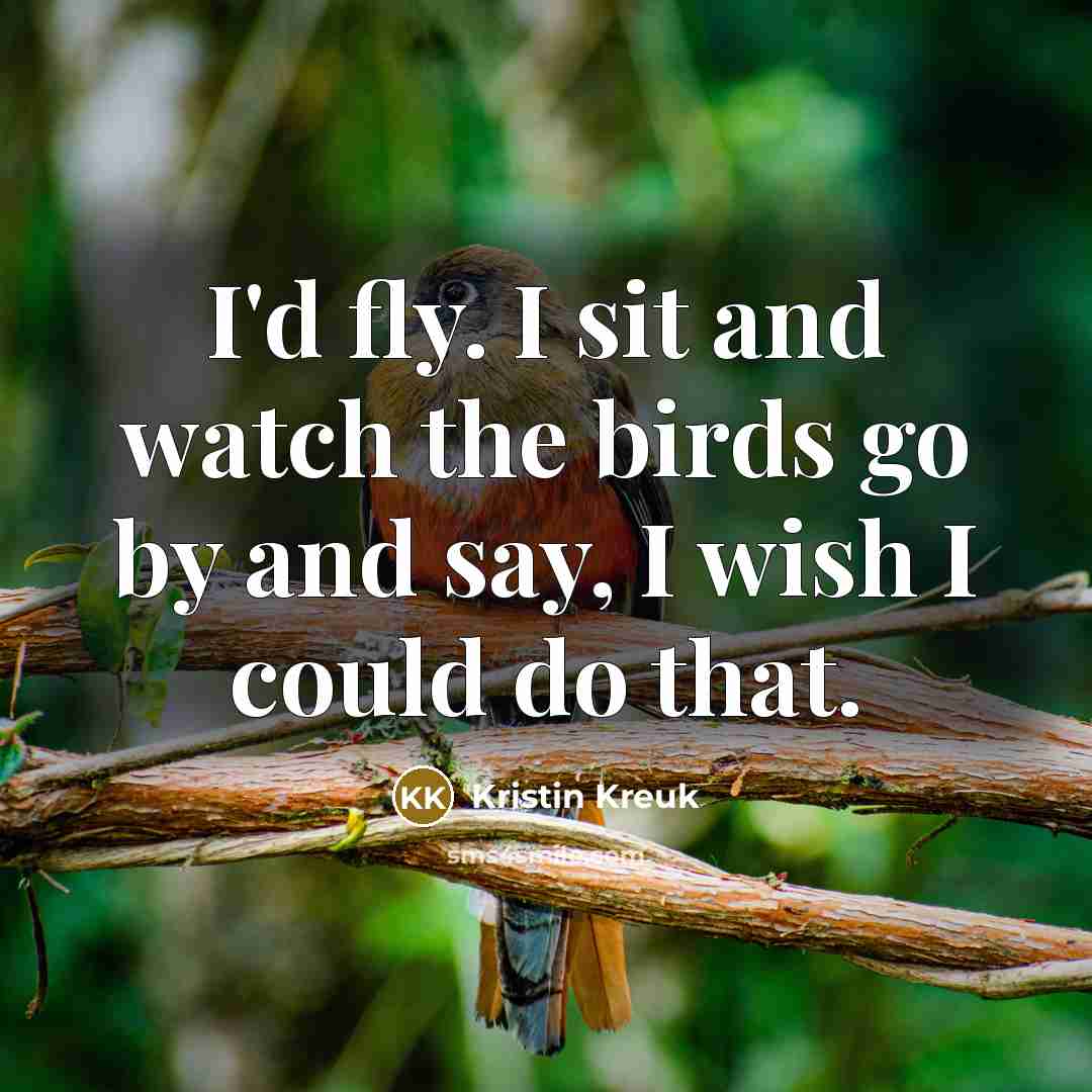 “I'd fly. I sit and watch the birds go by…” quote by Kristin Kreuk