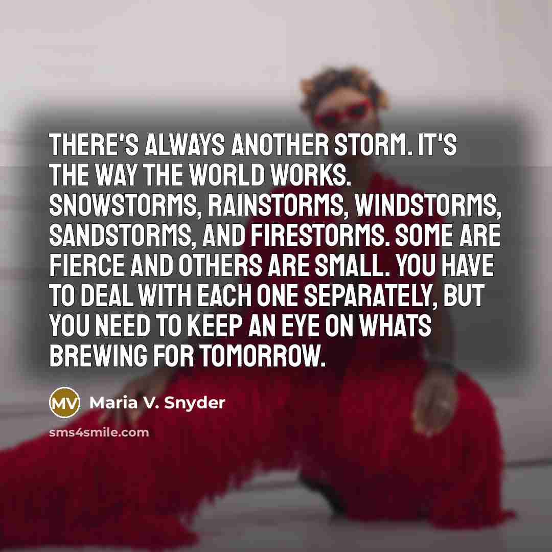 “There's always another storm. It's the way the world works.…” quote by Maria V. Snyder