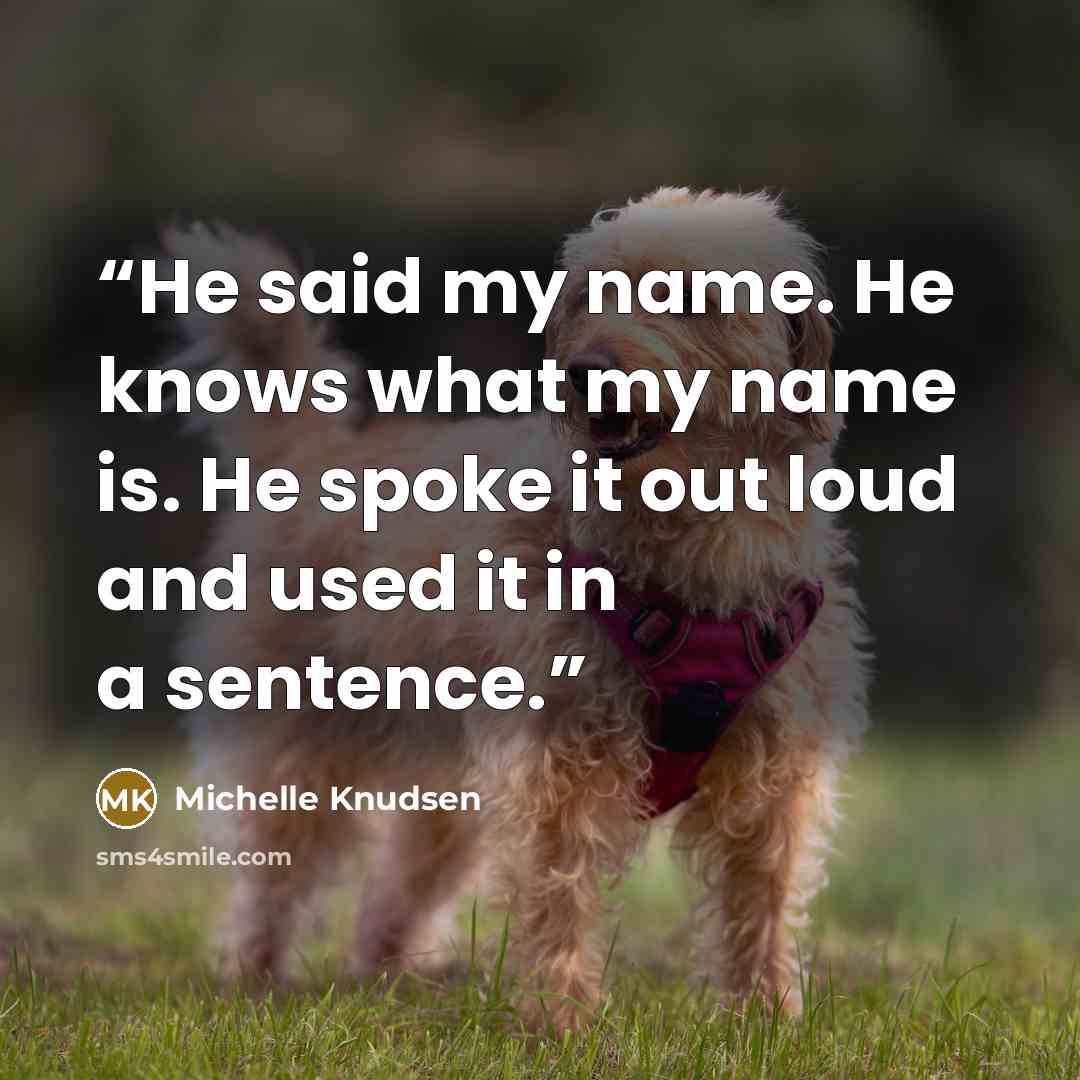 “He said my name. He knows what my name is. He spoke it out loud and used it in a sentence.” quote by Michelle Knudsen