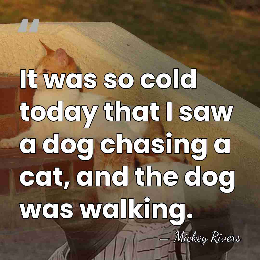 It was so cold today that I saw a dog chasing a&hellip; - Mickey Rivers