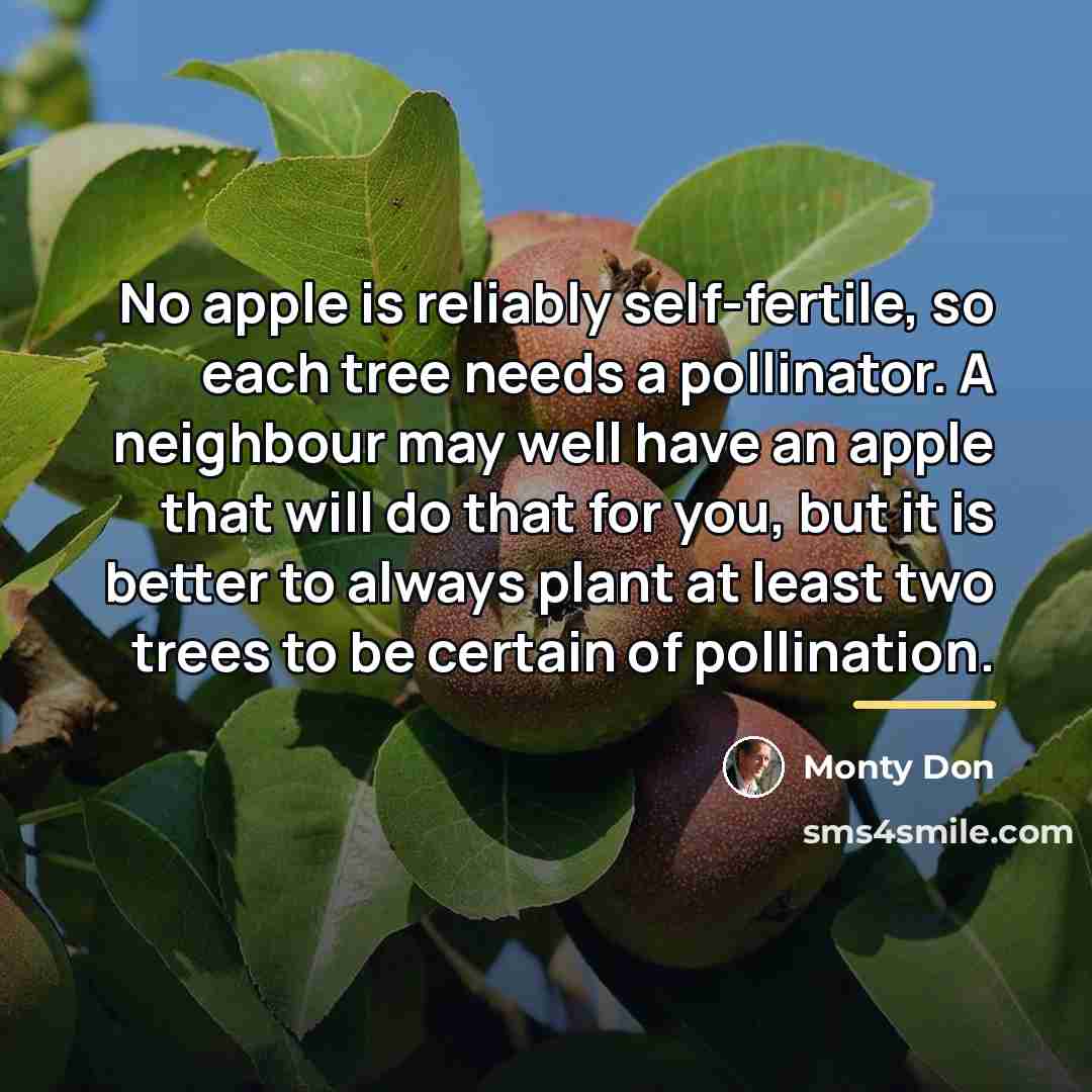 “No apple is reliably self-fertile, so each tree needs a…” quote by Monty Don