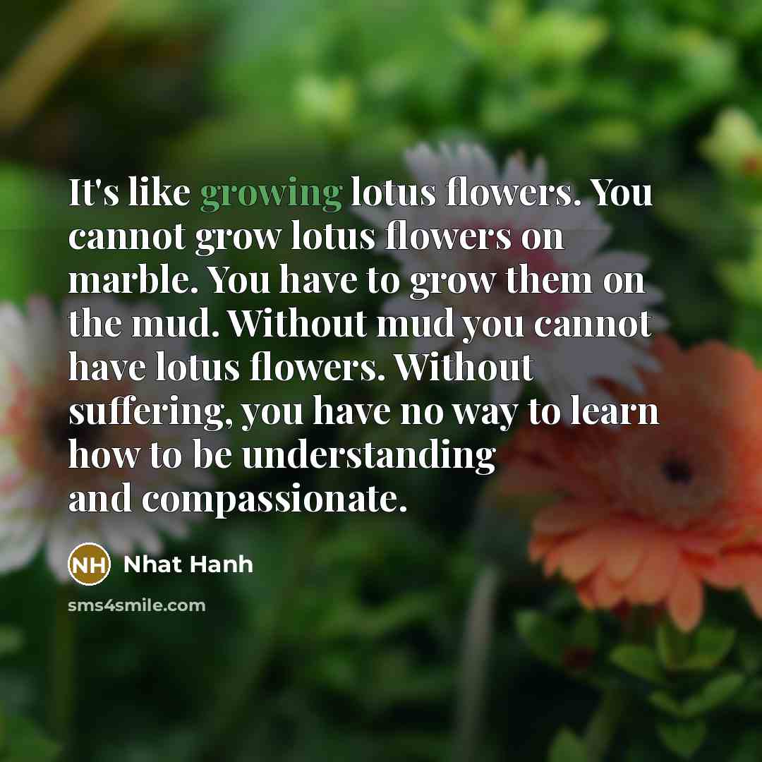 “It's like growing lotus flowers. You cannot grow lotus flowers…” quote by Nhat Hanh