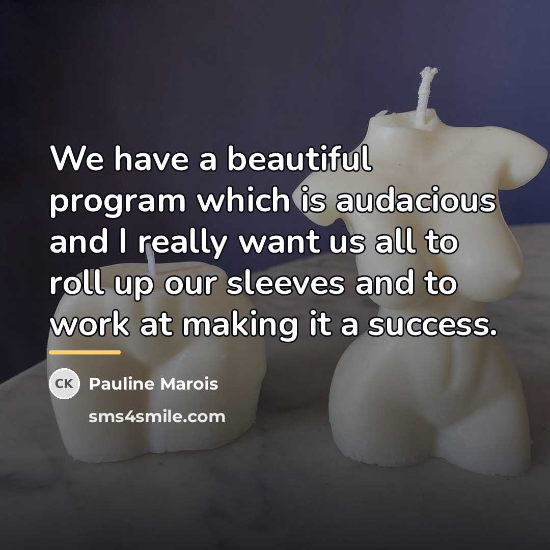 “We have a beautiful program which is audacious and I…” quote by Pauline Marois