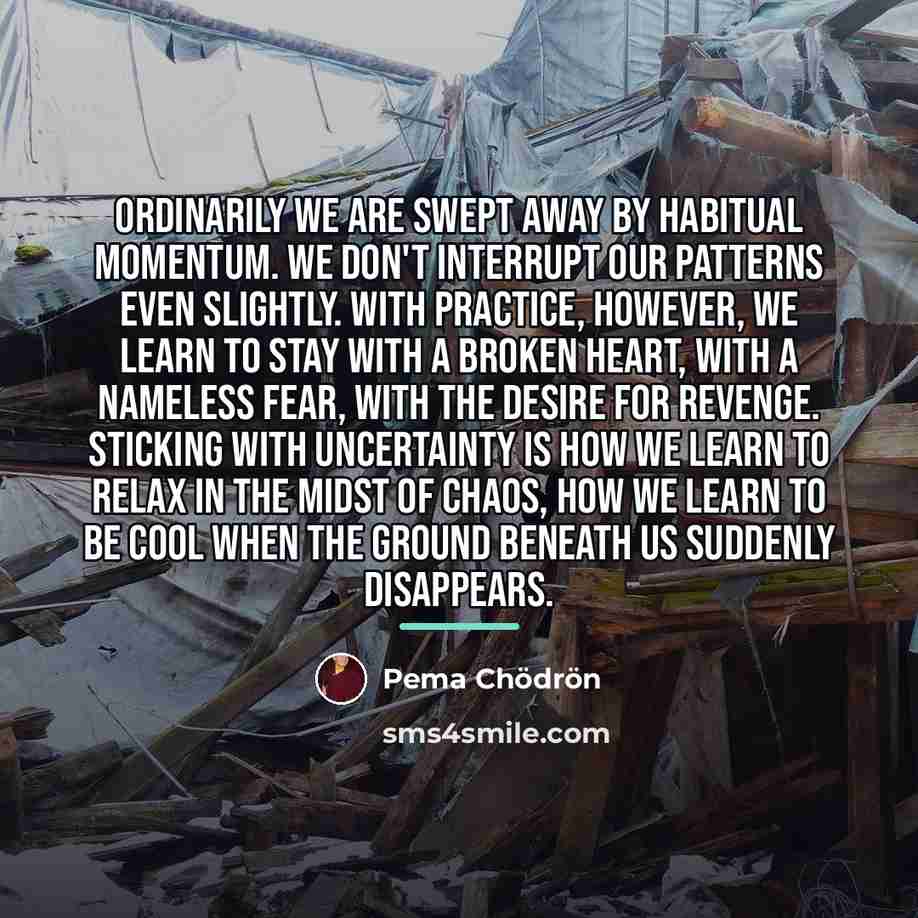 “Ordinarily we are swept away by habitual momentum. We don't…” quote by Pema Chodron