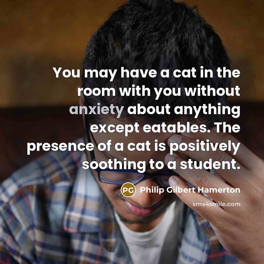 “You may have a cat in the room with you…” quote by Philip Gilbert Hamerton