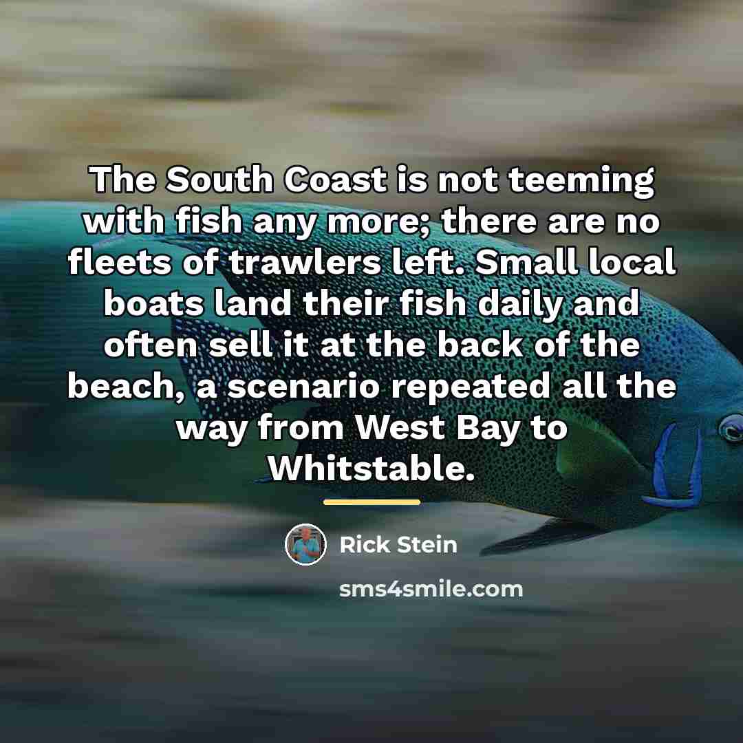 “The South Coast is not teeming with fish any more;…” quote by Rick Stein