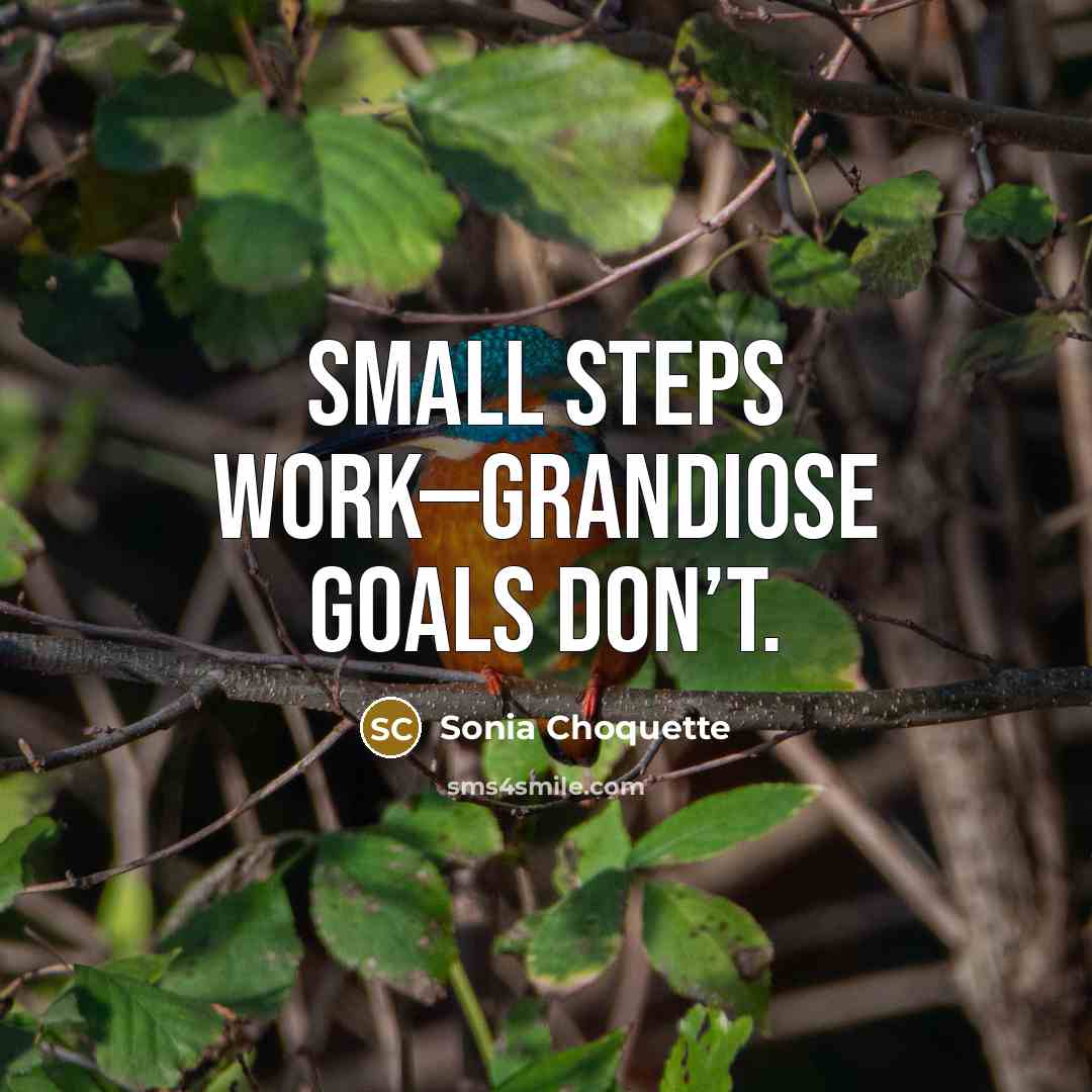“Small steps work—grandiose goals don’t.…” quote by Sonia Choquette