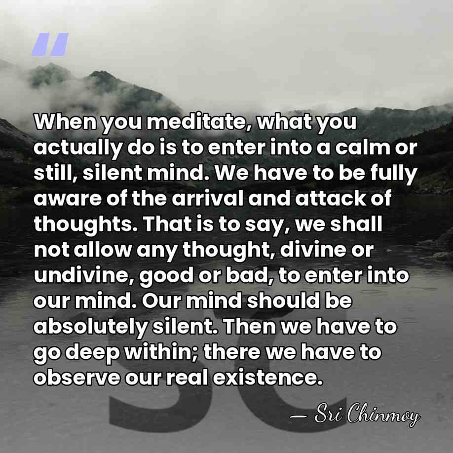 When you meditate, what you actually do is to enter into a&hellip; - Sri Chinmoy