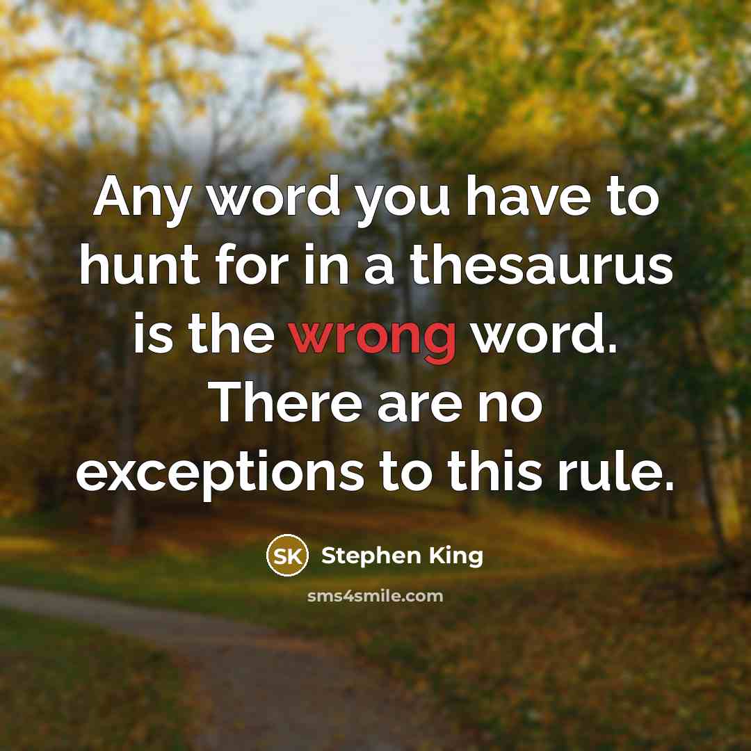 “Any word you have to hunt for in a thesaurus…” quote by Stephen King