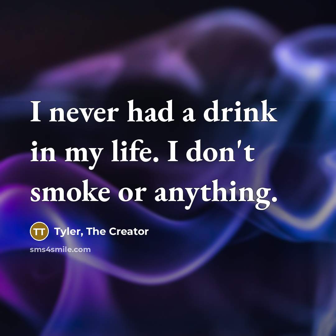 “I never had a drink in my life. I don't…” quote by Tyler, The Creator