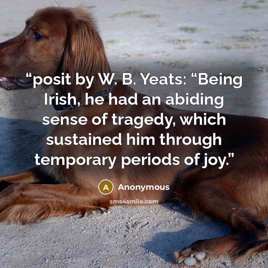 “posit by W. B. Yeats: “Being Irish, he had an abiding sense of tragedy, which sustained him through temporary periods of joy.” quote by Anonymous