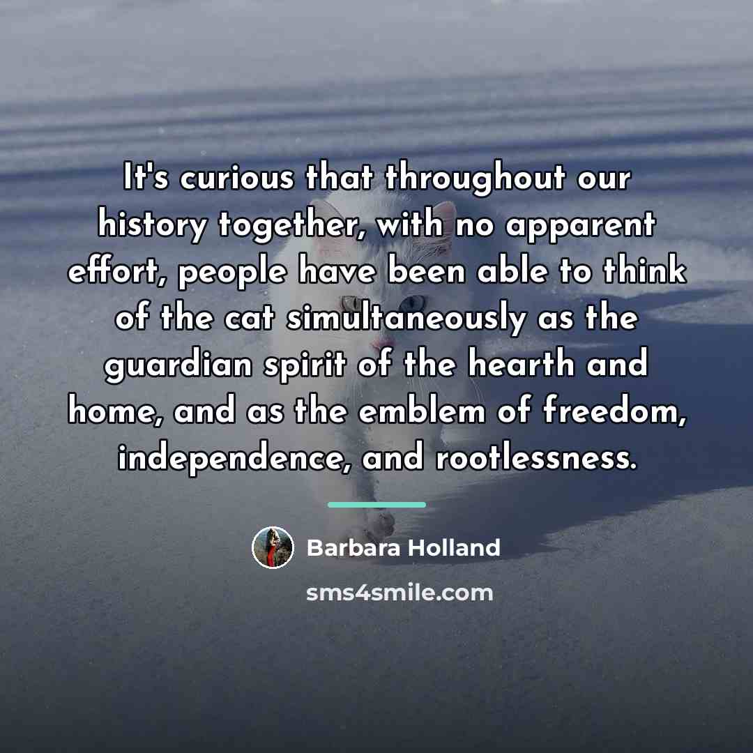 “It's curious that throughout our history together, with no apparent…” quote by Barbara Holland