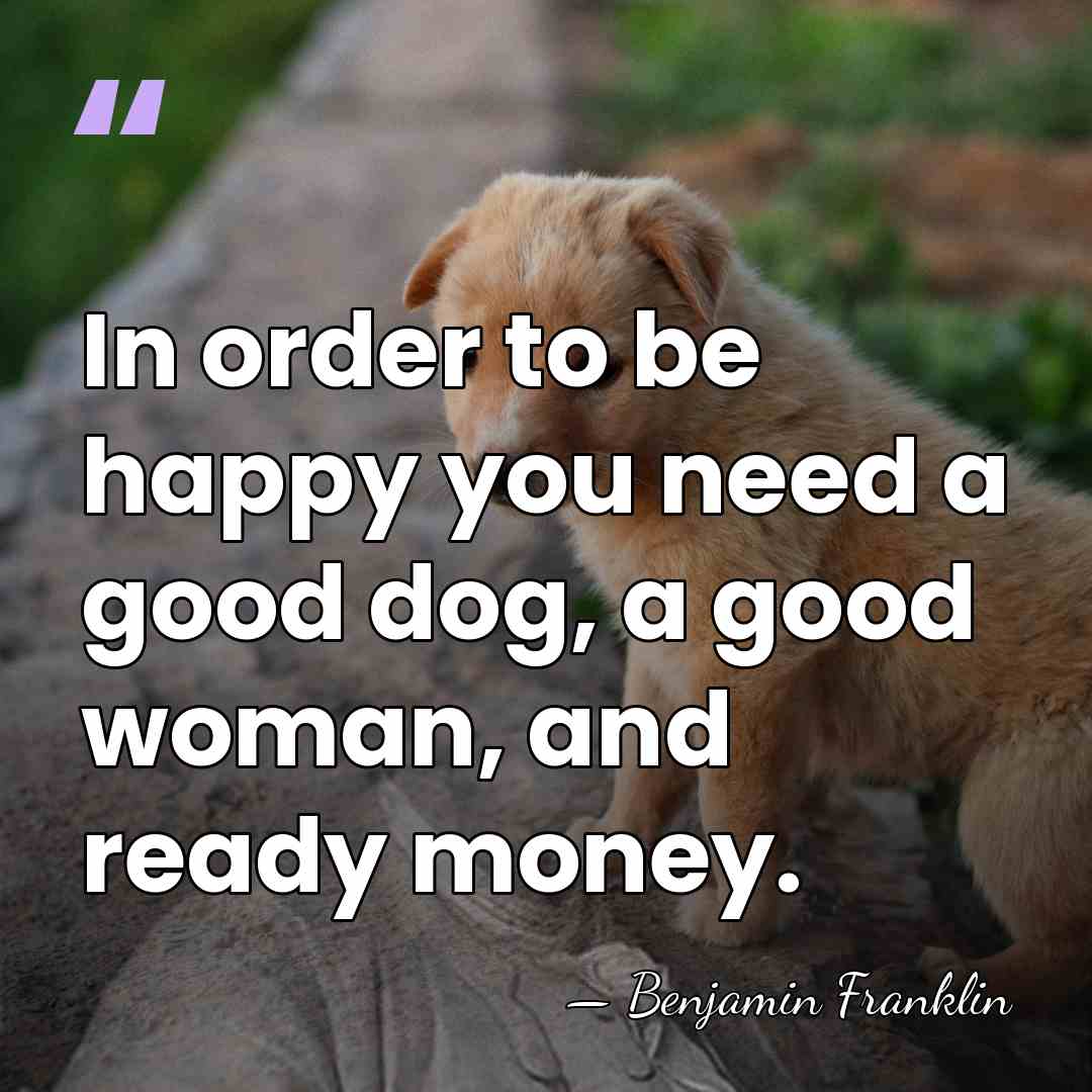 In order to be happy you need a good dog, a good&hellip; - Benjamin Franklin