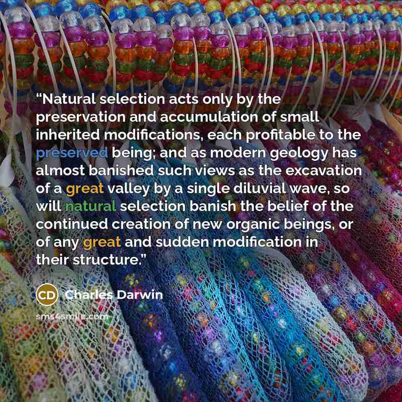 “Natural selection acts only by the preservation and accumulation of small inherited modifications, each profitable to the preserved being; and as modern geology has almost banished such views as the excavation of a great valley by a single diluvial wave, so will natural selection banish the belief…” quote by Charles Darwin