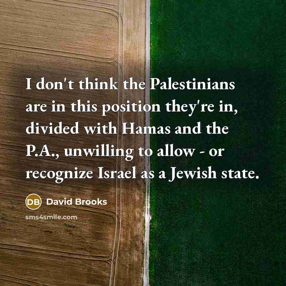“I don't think the Palestinians are in this position they're…” quote by David Brooks