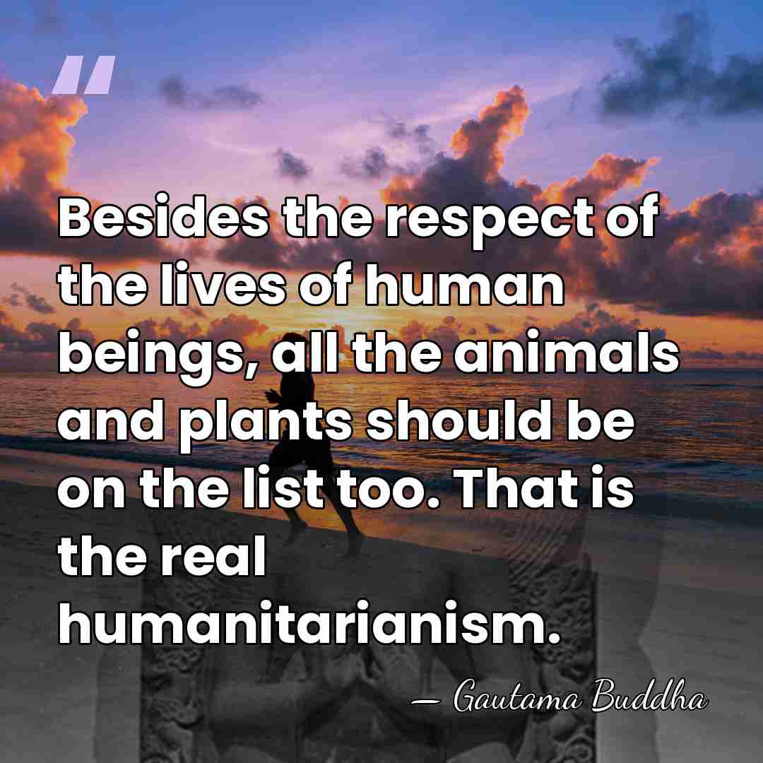 Besides the respect of the lives of human beings, all the animals&hellip; - Gautama Buddha