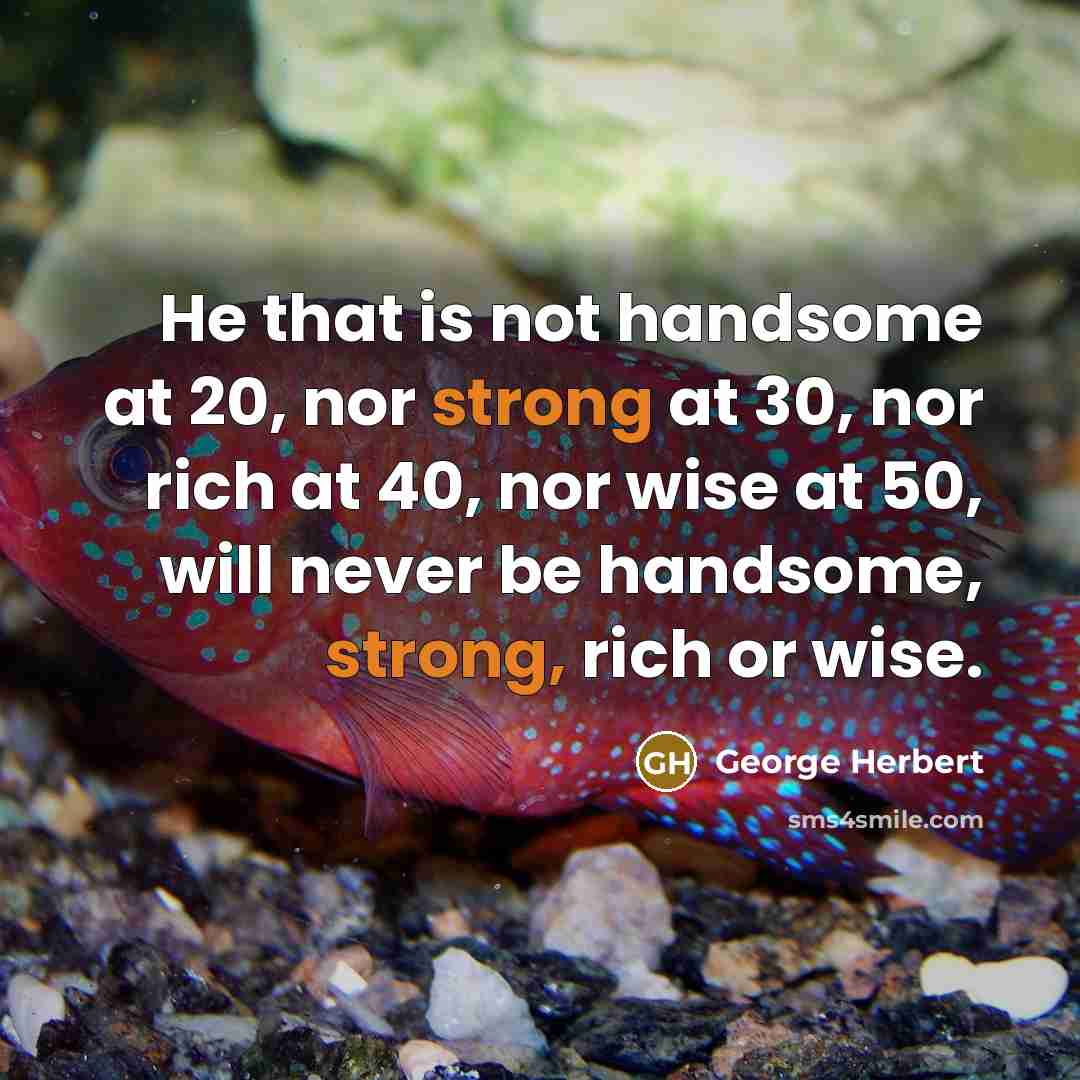 “He that is not handsome at 20, nor strong at…” quote by George Herbert