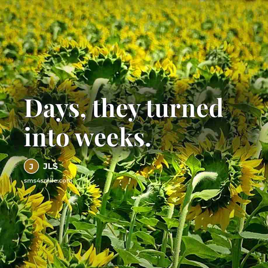 “Days, they turned into weeks.” quote by JLS