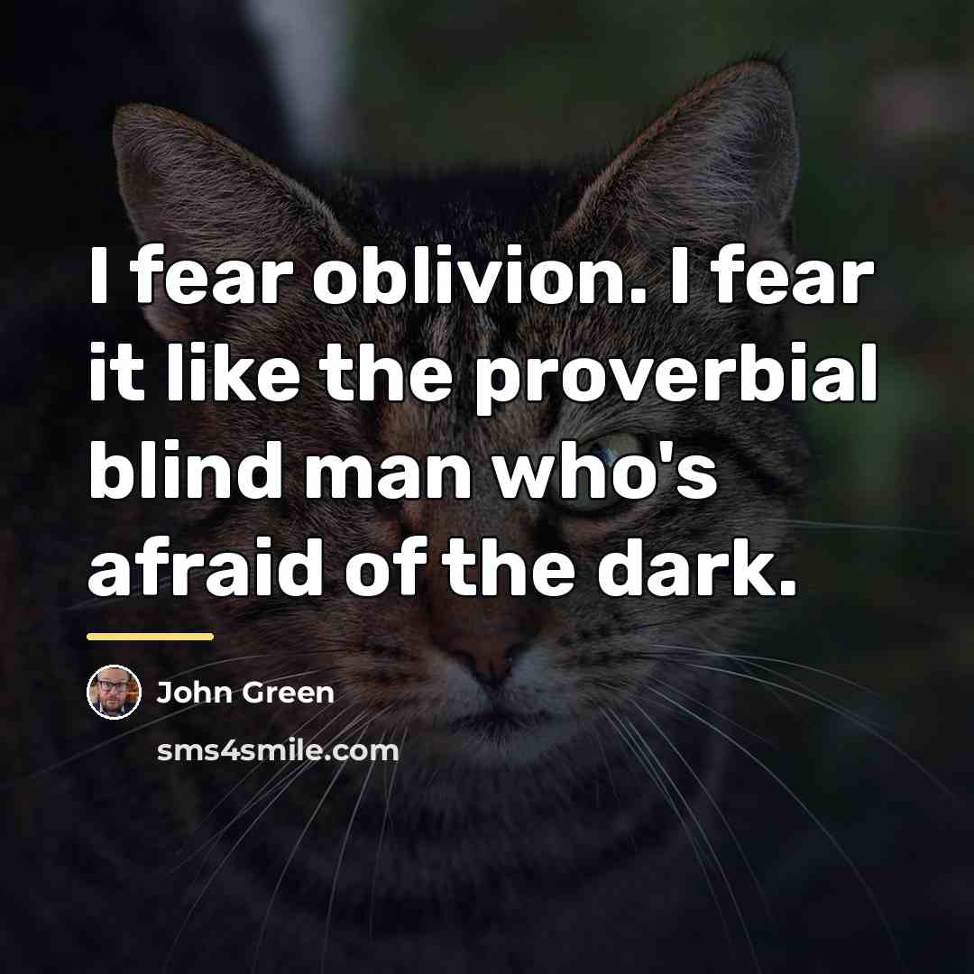 “I fear oblivion. I fear it like the proverbial blind…” quote by John Green
