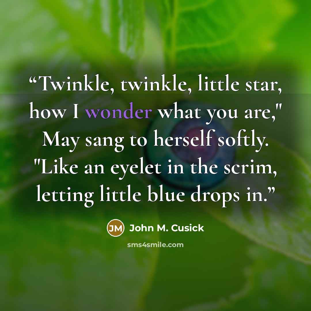 “Twinkle, twinkle, little star, how I wonder what you are," May sang to herself softly. "Like an eyelet in the scrim, letting little blue drops in.” quote by John M. Cusick