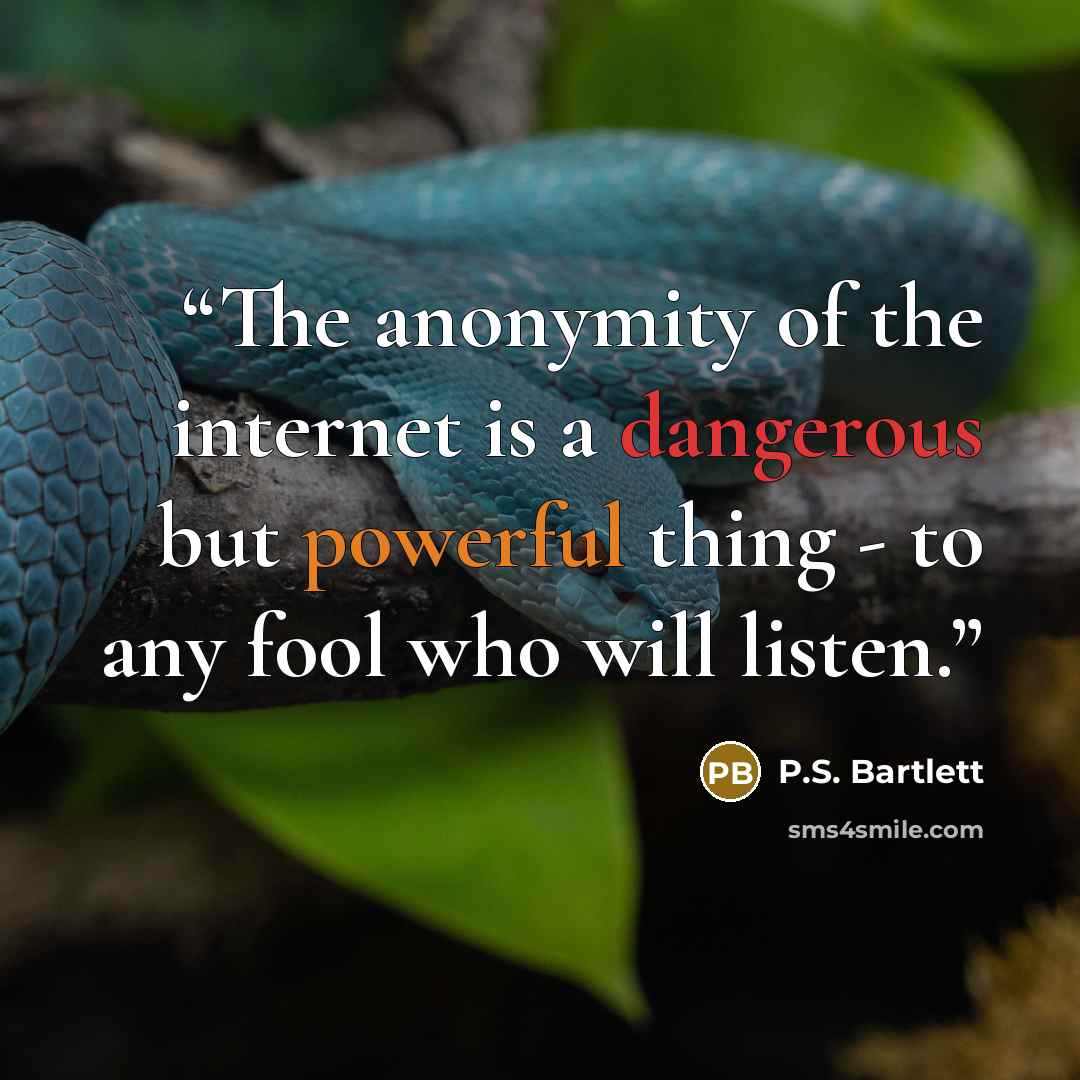 “The anonymity of the internet is a dangerous but powerful thing - to any fool who will listen.” quote by P.S. Bartlett