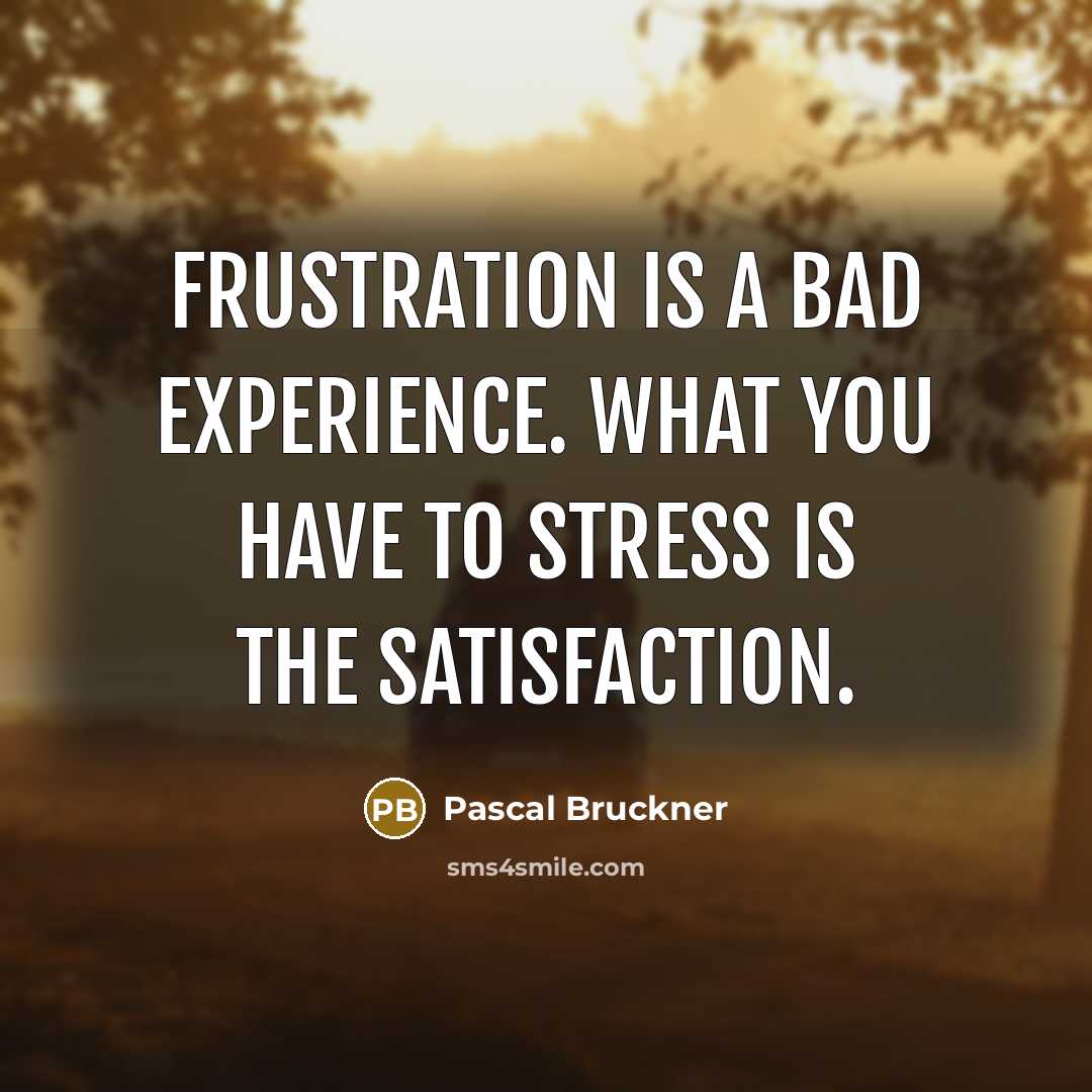 “Frustration is a bad experience. What you have to stress…” quote by Pascal Bruckner