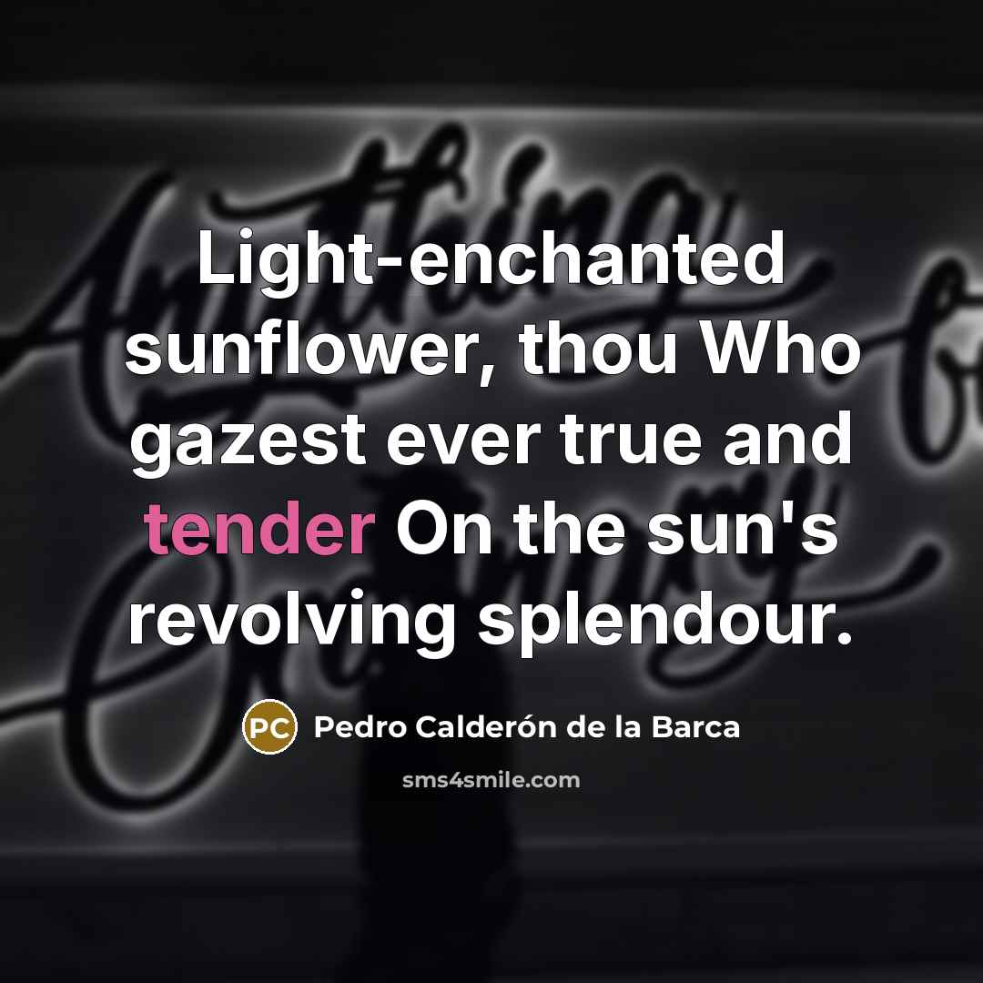 “Light-enchanted sunflower, thou Who gazest ever true and tender On…” quote by Pedro Calderon de la Barca