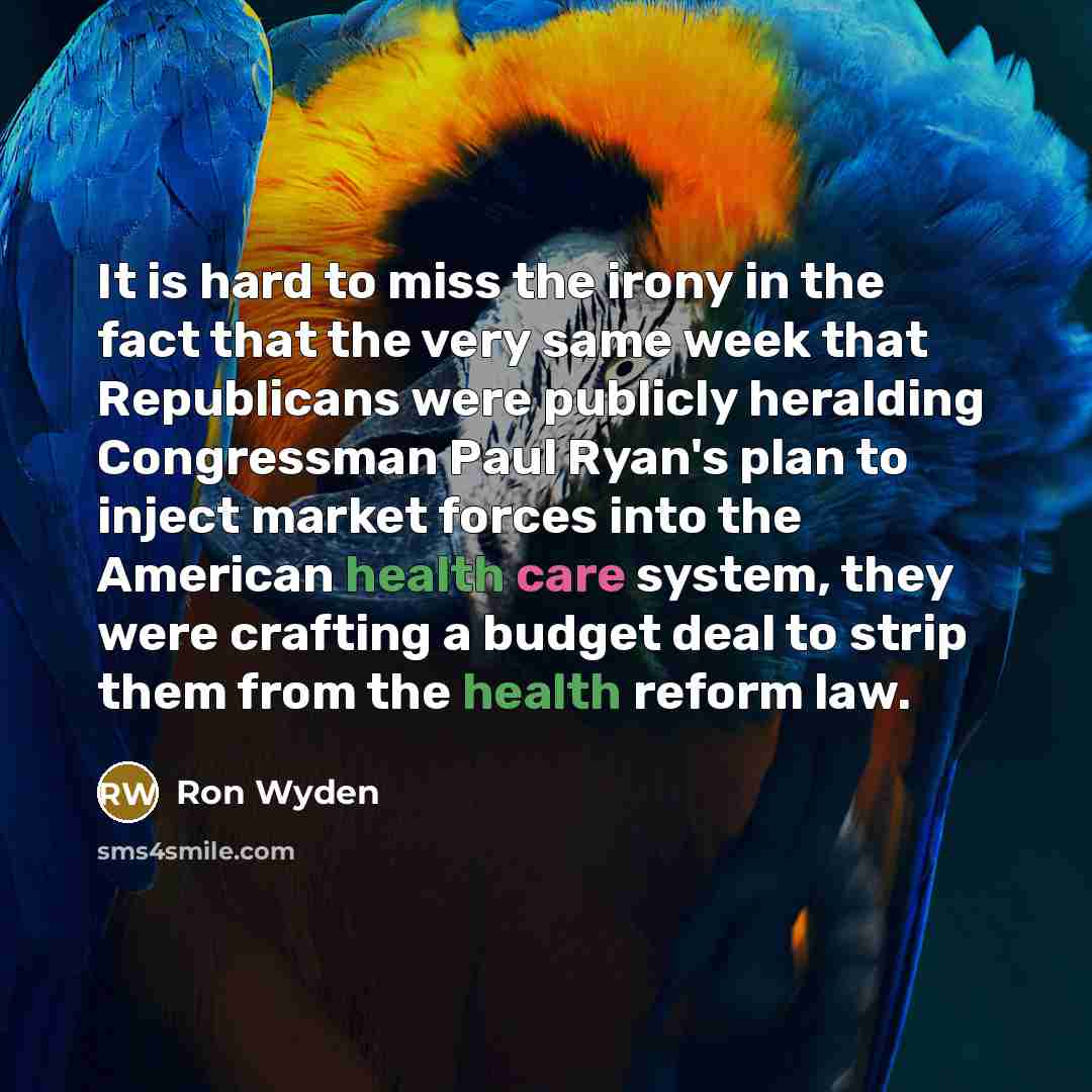 “It is hard to miss the irony in the fact…” quote by Ron Wyden