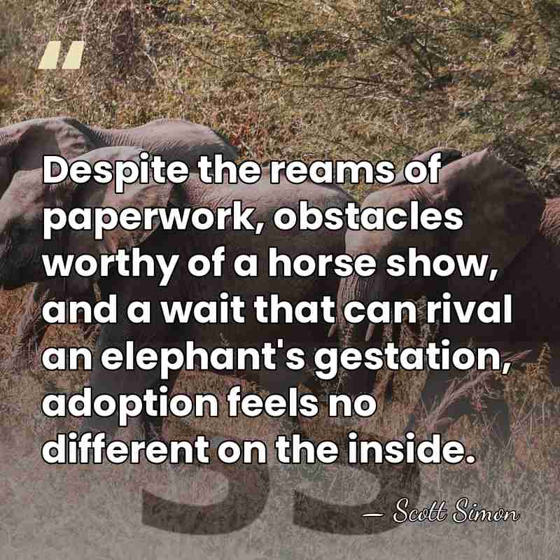 Despite the reams of paperwork, obstacles worthy of a horse show, and&hellip; - Scott Simon