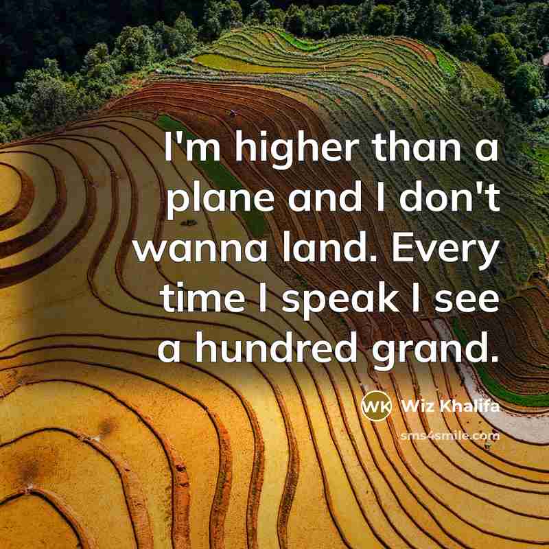 “I'm higher than a plane and I don't wanna land.…” quote by Wiz Khalifa