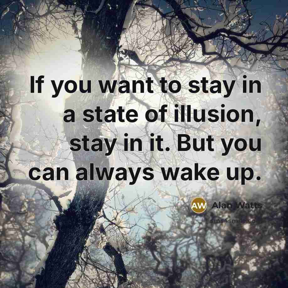 “If you want to stay in a state of illusion, stay in it. But you can always wake up.” quote by Alan Watts