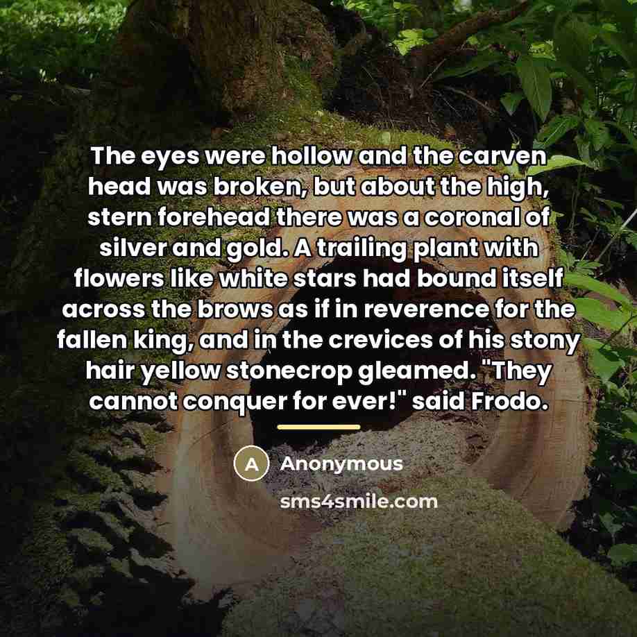“The eyes were hollow and the carven head was broken,…” quote by Anonymous