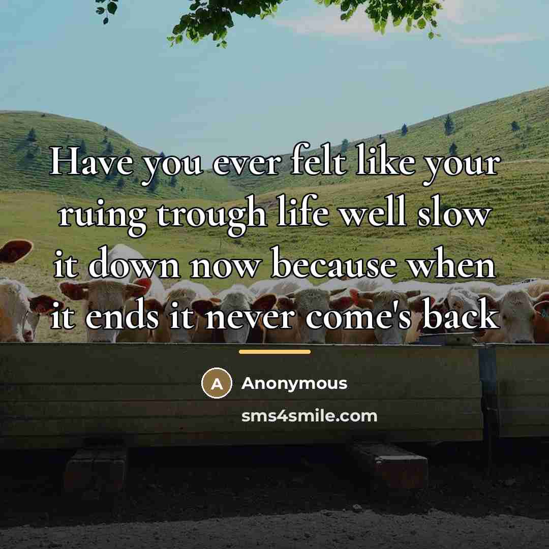 “Have you ever felt like your ruing trough life well…” quote by Anonymous