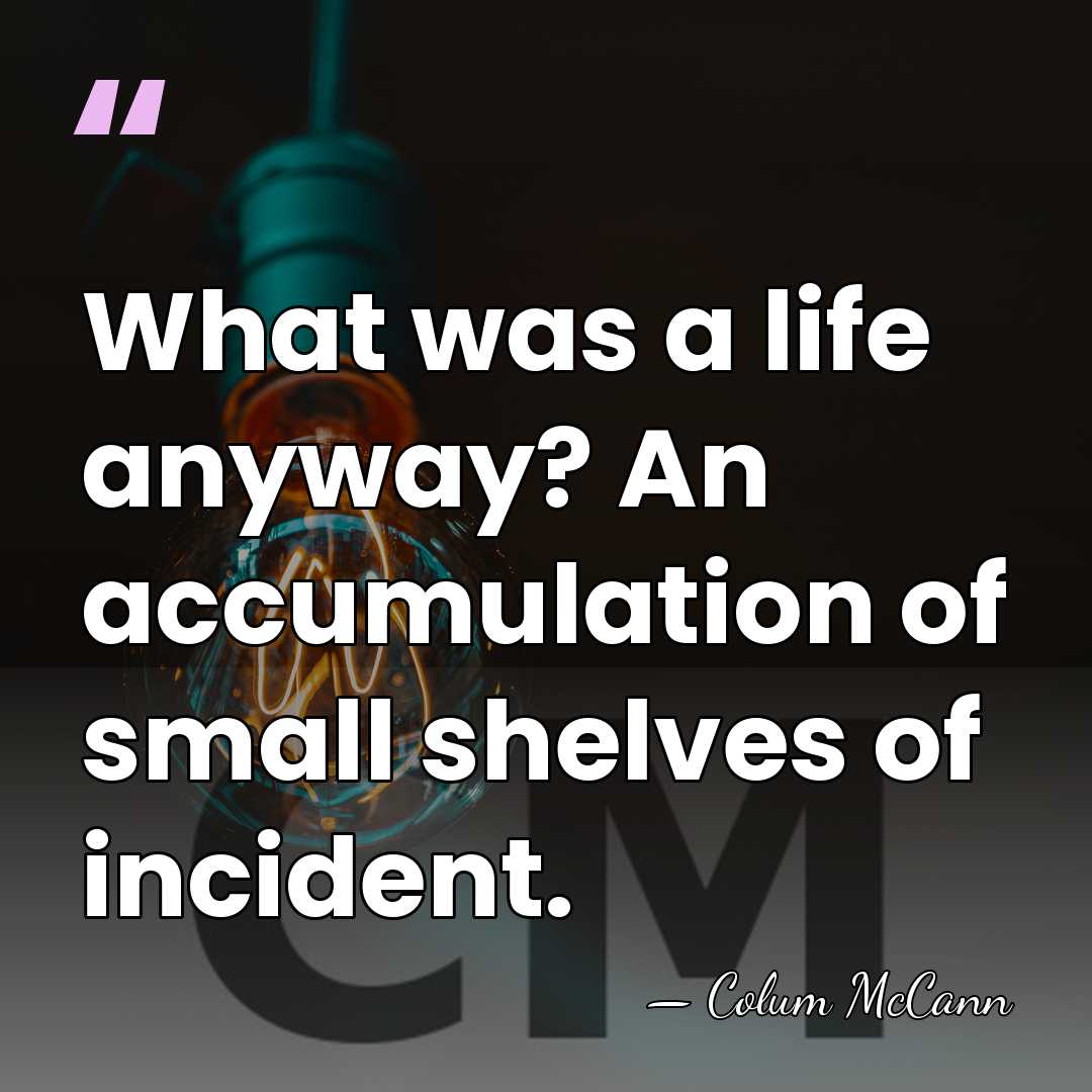 What was a life anyway? An accumulation of small shelves of incident. - Colum McCann