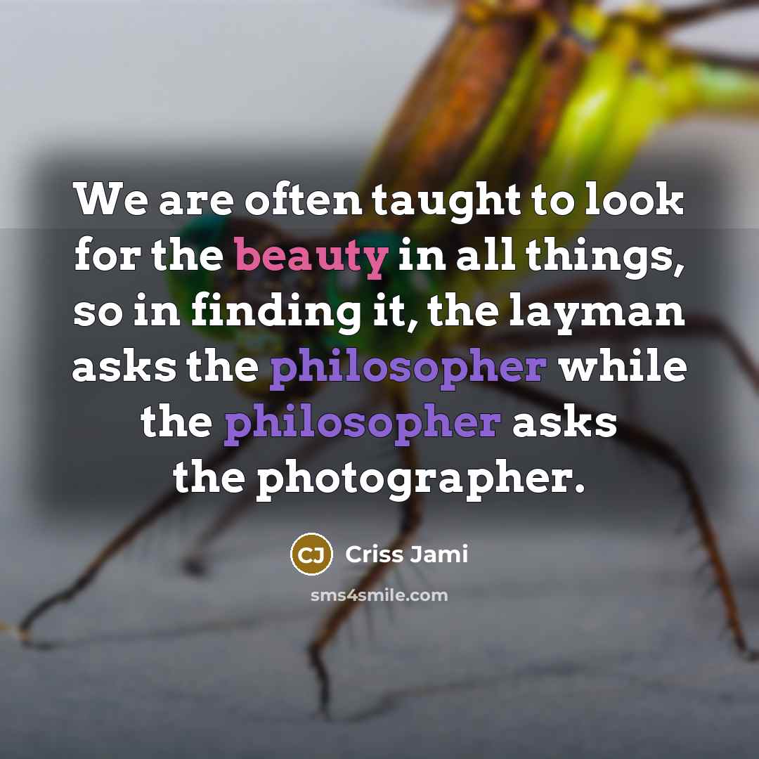 “We are often taught to look for the beauty in…” quote by Criss Jami