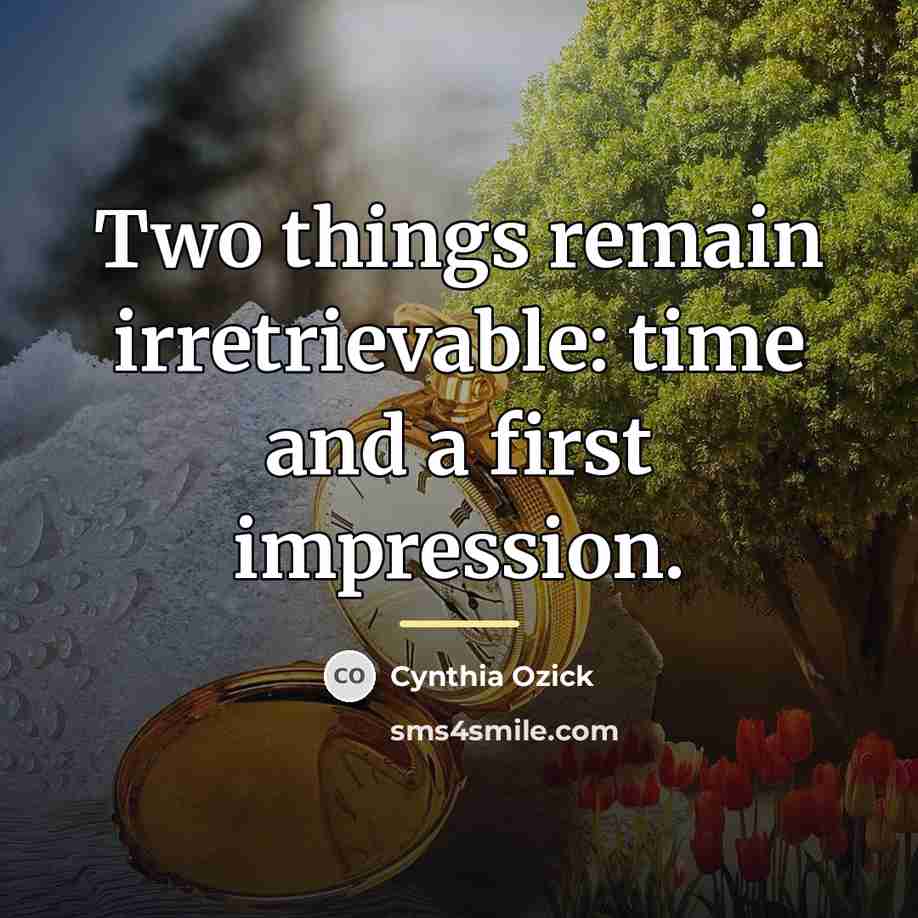 “Two things remain irretrievable: time and a first impression.…” quote by Cynthia Ozick