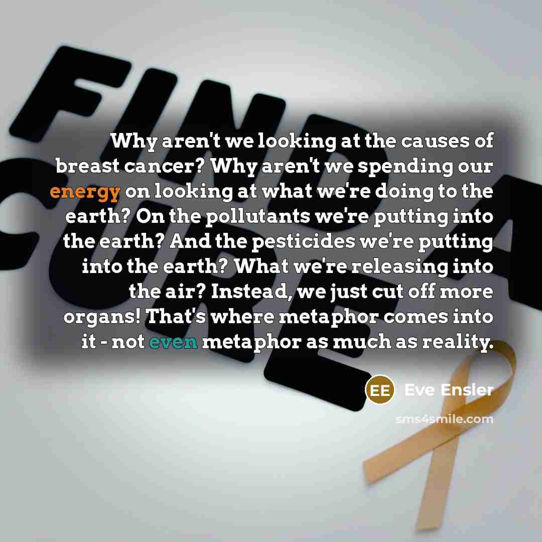 “Why aren't we looking at the causes of breast cancer?…” quote by Eve Ensler
