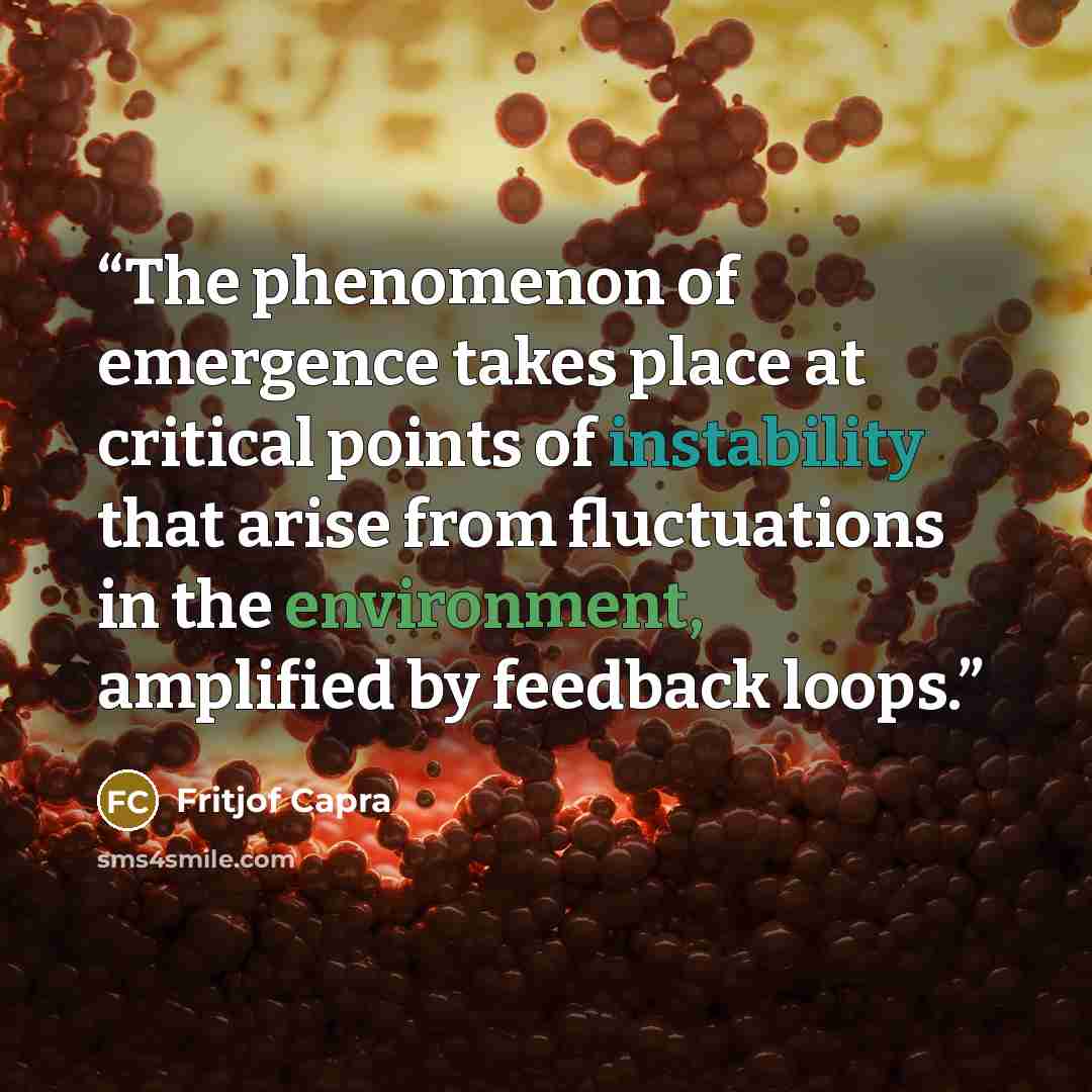 “The phenomenon of emergence takes place at critical points of instability that arise from fluctuations in the environment, amplified by feedback loops.” quote by Fritjof Capra