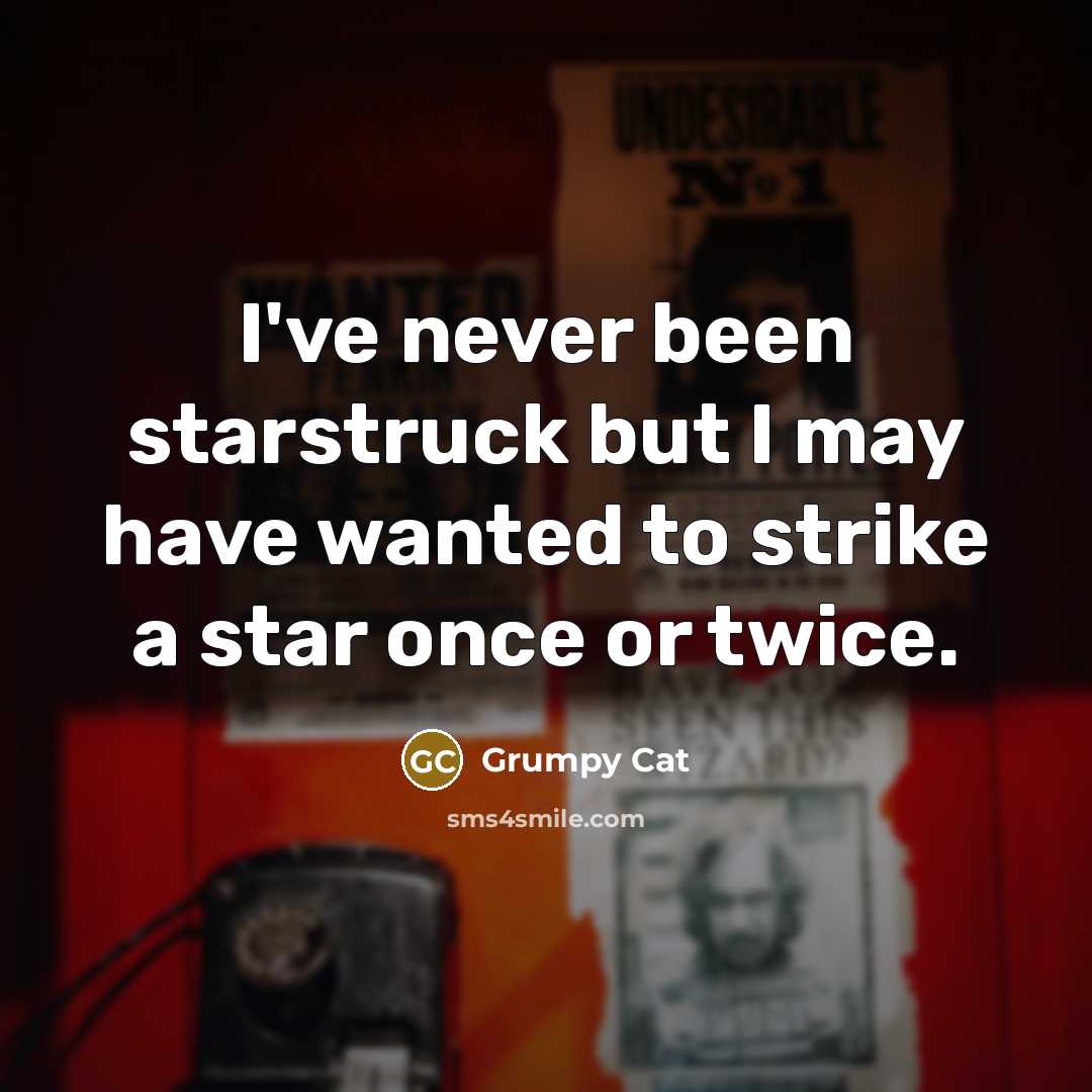 “I've never been starstruck but I may have wanted to…” quote by Grumpy Cat
