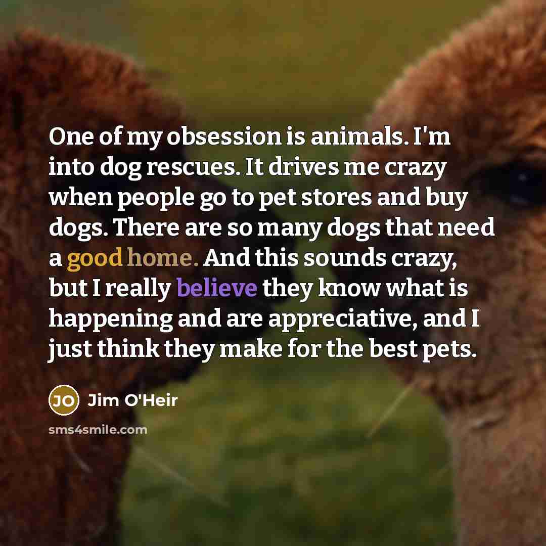 “One of my obsession is animals. I'm into dog rescues. It drives me crazy when people go to pet stores and buy dogs. There are so many dogs that need a good home. And this sounds crazy, but I really believe they know what is happening and are appreciative, and I just think they make for the best…” quote by Jim O'Heir