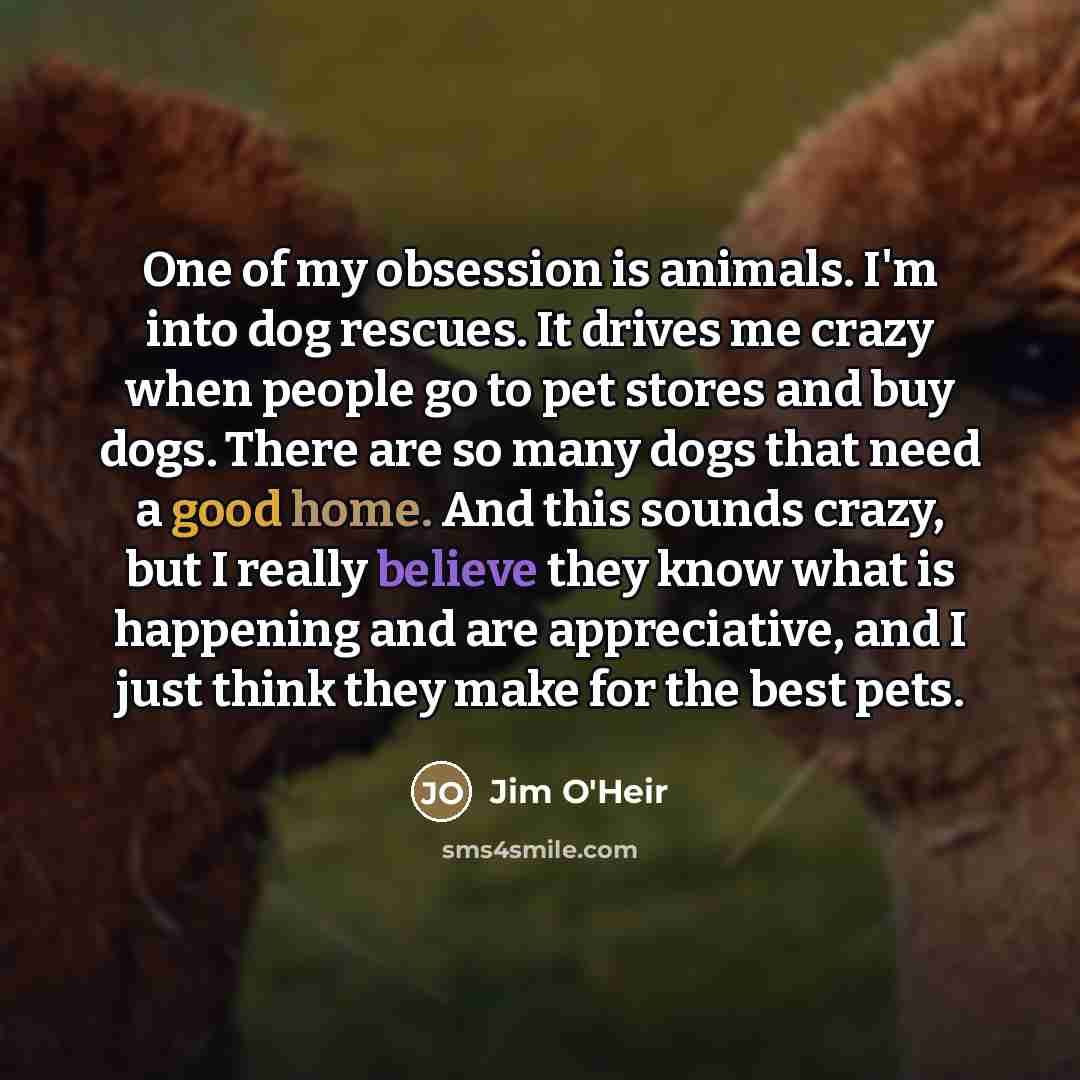 “One of my obsession is animals. I'm into dog rescues.…” quote by Jim O'Heir