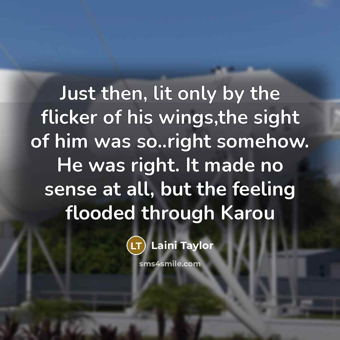 “Just then, lit only by the flicker of his wings,the…” quote by Laini Taylor