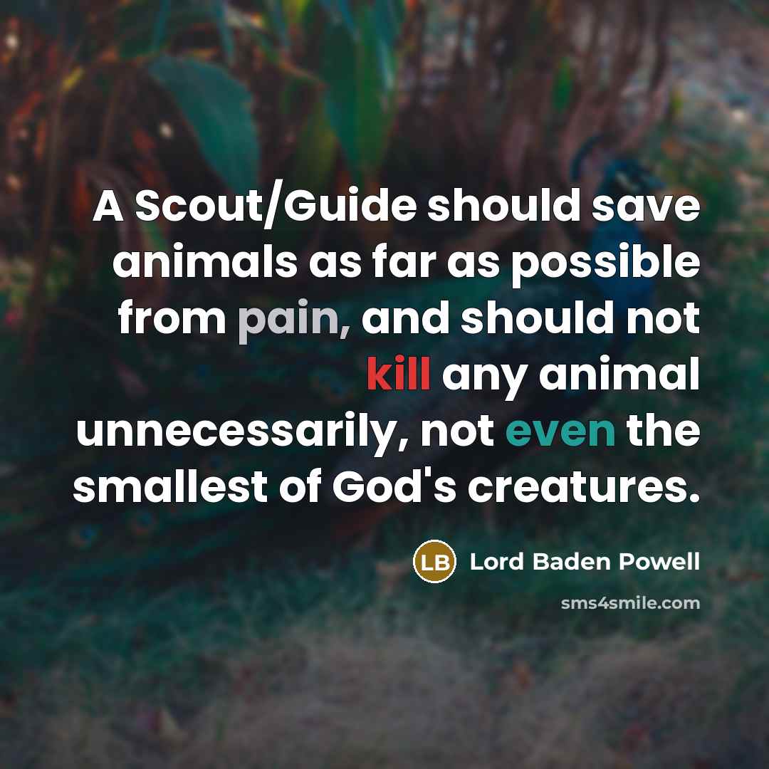 “A Scout/Guide should save animals as far as possible from pain, and should not kill any animal unnecessarily, not even the smallest of God's creatures.” quote by Lord Baden Powell
