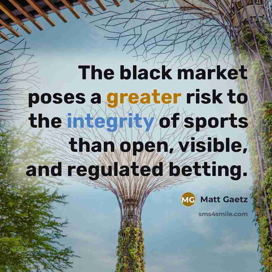 “The black market poses a greater risk to the integrity…” quote by Matt Gaetz