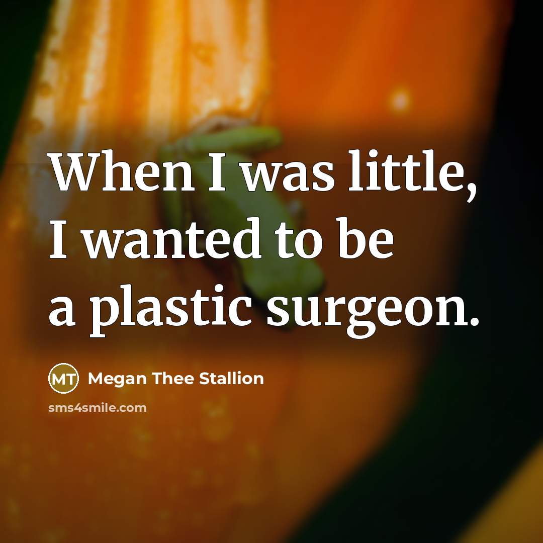 “When I was little, I wanted to be a plastic…” quote by Megan Thee Stallion